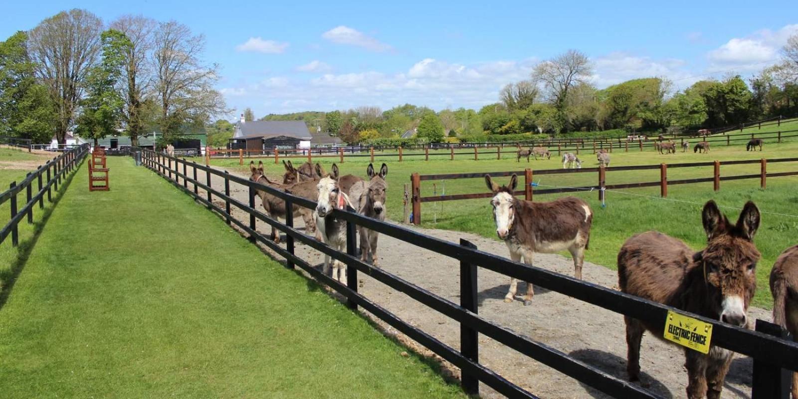 Charleville Park Hotel & Leisure Club Ireland Εξωτερικό φωτογραφία